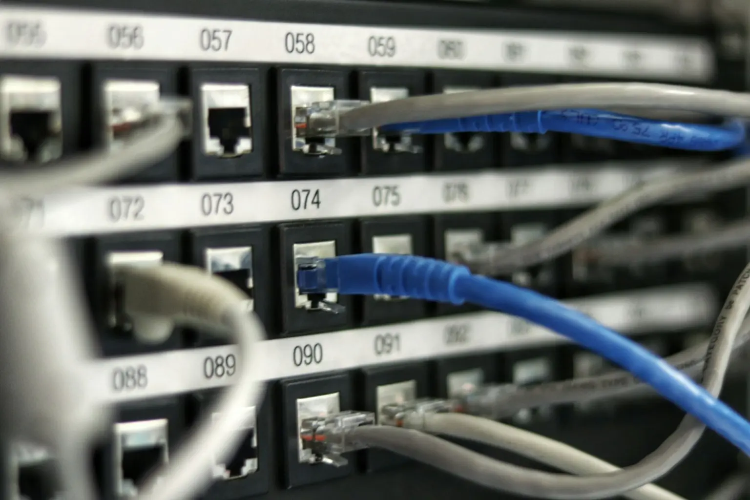 Network patch panel with blue and grey ethernet cables